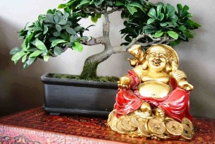 Happiness and well-being in the house on feng shui