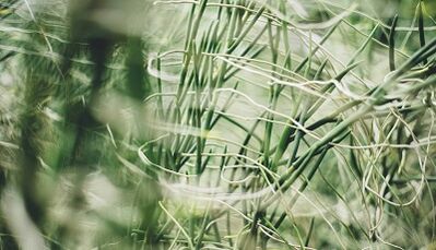 How to make a lucky amulet with your own hands