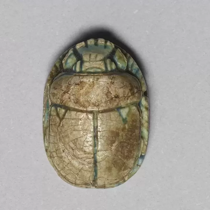 lucky amulet - beetle