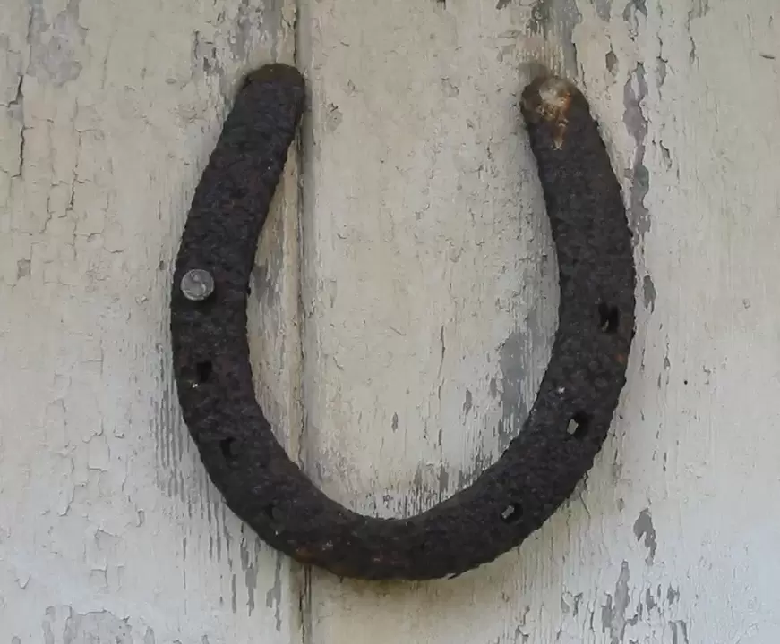 lucky amulet - horseshoe
