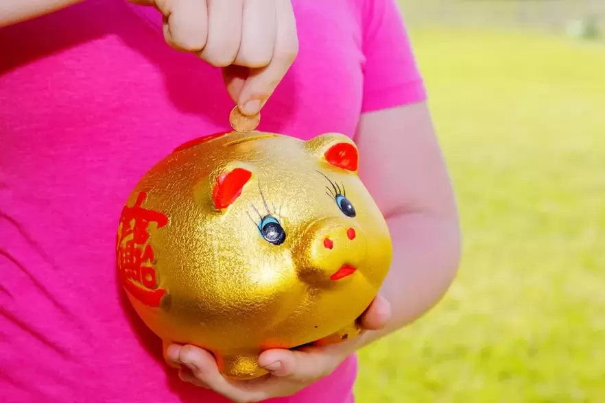 lucky amulet - pig